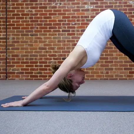 Silver Leaf Yoga